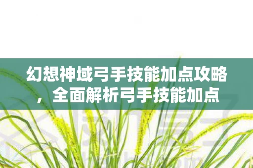 幻想神域弓手技能加点攻略图片