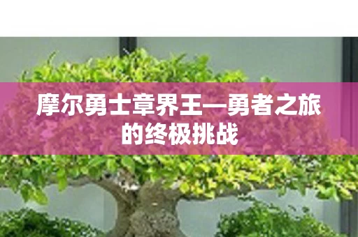 勇者之旅的终极挑战图片