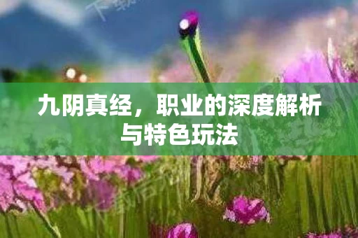 职业的深度解析与特色玩法图片