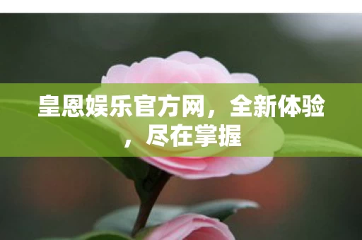 皇恩娱乐官方网图片