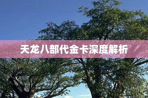 天龙八部代金卡深度解析图片