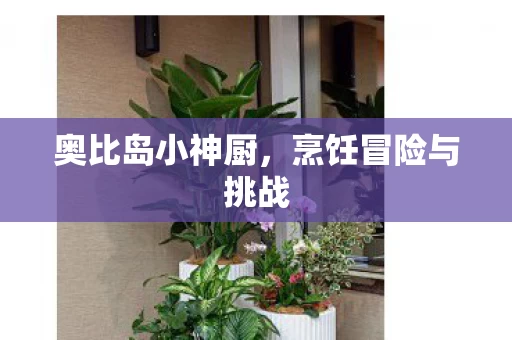 烹饪冒险与挑战图片