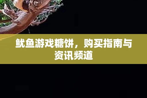 购买指南与资讯频道图片