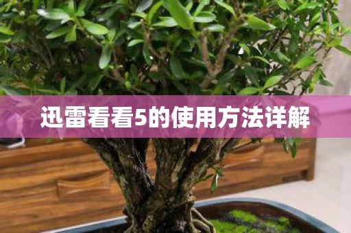 迅雷看看5的使用方法详解图片