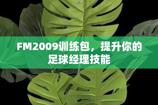 提升你的足球经理技能图片