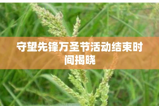 守望先锋万圣节活动结束时间揭晓图片