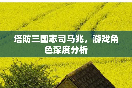 塔防三国志司马兆图片
