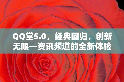 资讯频道的全新体验图片