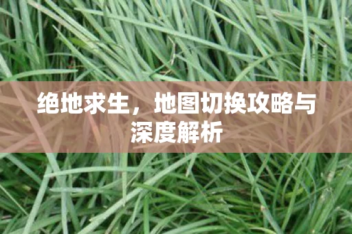 地图切换攻略与深度解析图片