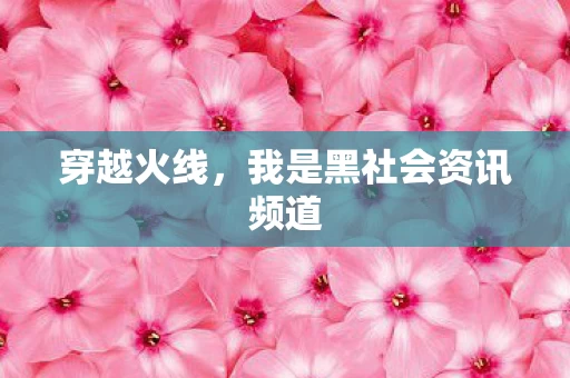 我是黑社会资讯频道图片