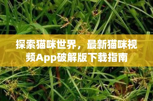 最新猫咪视频App破解版下载指南图片