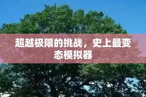 史上最变态模拟器图片