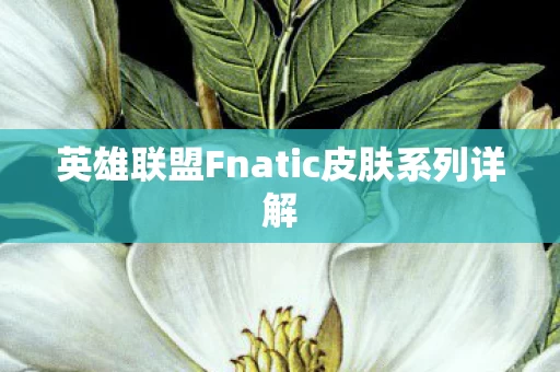 英雄联盟Fnatic皮肤系列详解图片