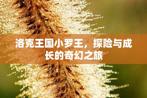探险与成长的奇幻之旅图片