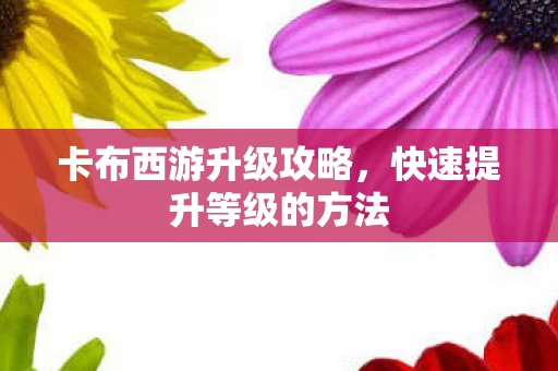 快速提升等级的方法图片