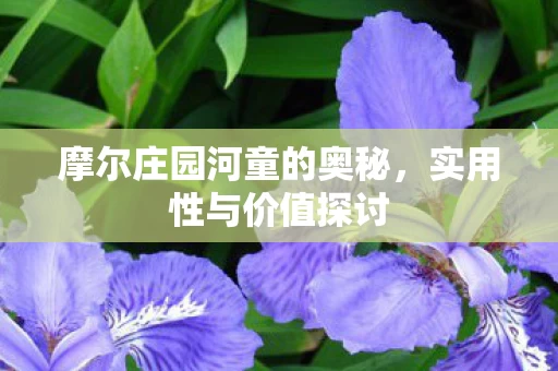 摩尔庄园河童的奥秘图片