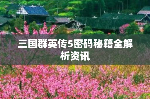 三国群英传5密码秘籍全解析资讯图片