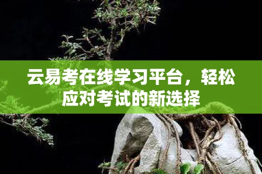 轻松应对考试的新选择图片