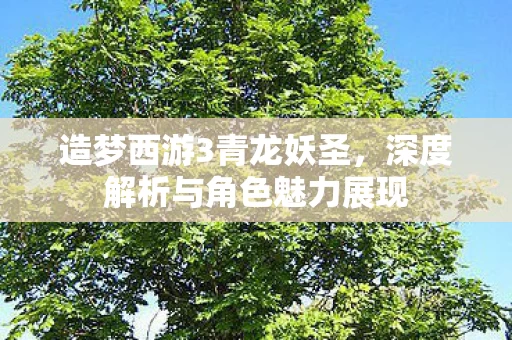 深度解析与角色魅力展现图片