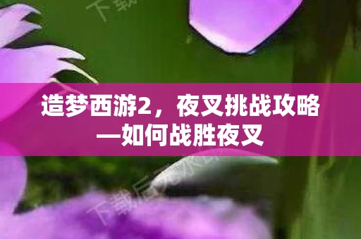 夜叉挑战攻略图片