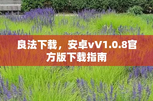 8官方版下载指南图片