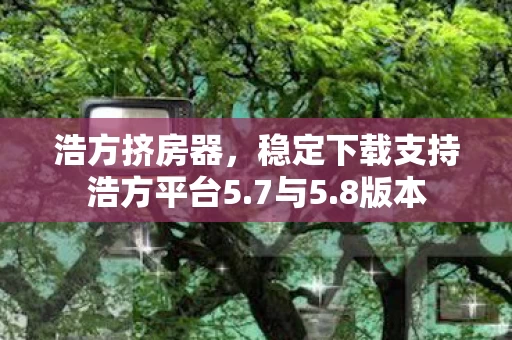 稳定下载支持浩方平台5图片