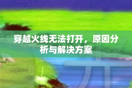 原因分析与解决方案图片