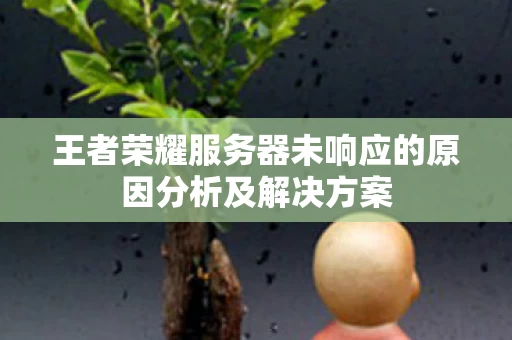 王者荣耀服务器未响应的原因分析及解决方案图片