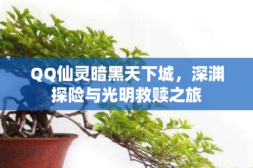 QQ仙灵暗黑天下城，深渊探险与光明救赎之旅