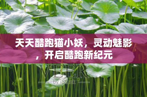 天天酷跑猫小妖图片