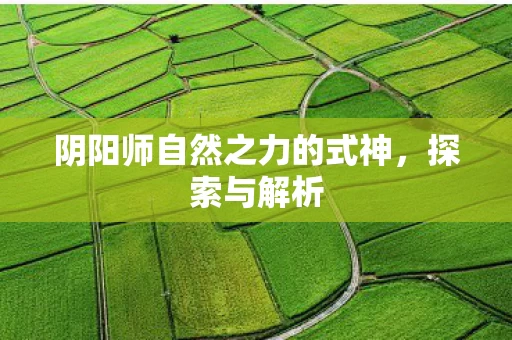 阴阳师自然之力的式神图片