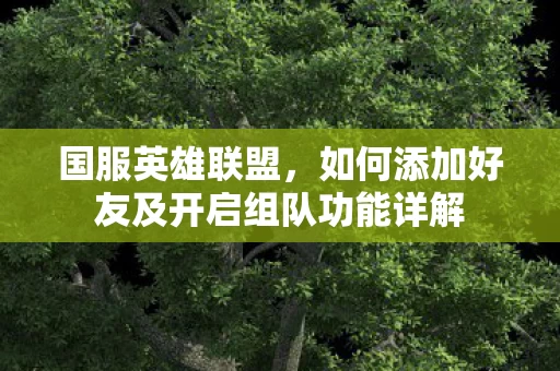 如何添加好友及开启组队功能详解图片