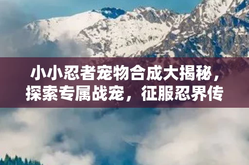 小小忍者宠物合成大揭秘图片