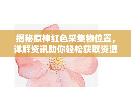 详解资讯助你轻松获取资源图片
