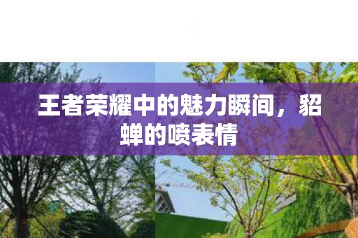 王者荣耀中的魅力瞬间图片