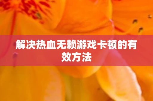 解决热血无赖游戏卡顿的有效方法图片