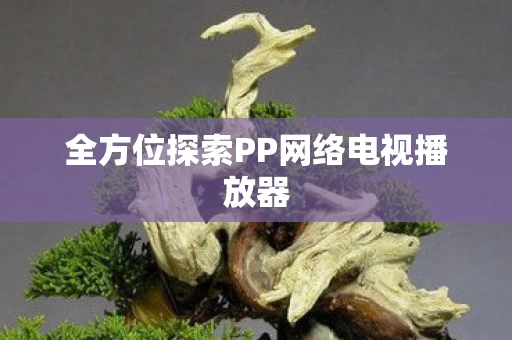 全方位探索PP网络电视播放器图片