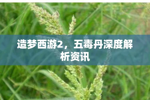 五毒丹深度解析资讯图片