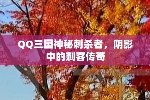 QQ三国神秘刺杀者图片