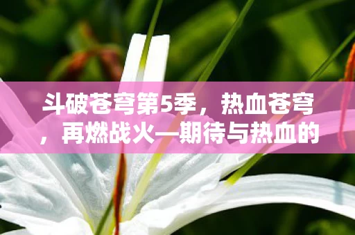 期待与热血的交织图片