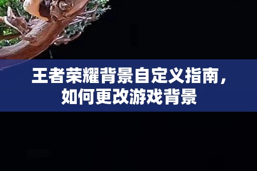 王者荣耀背景自定义指南图片