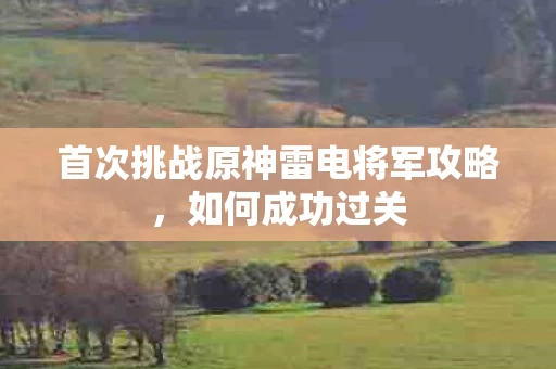 首次挑战原神雷电将军攻略图片