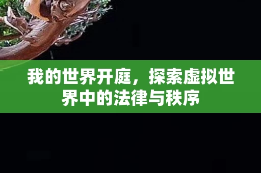 探索虚拟世界中的法律与秩序图片