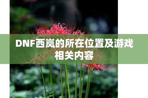 DNF西岚的所在位置及游戏相关内容图片