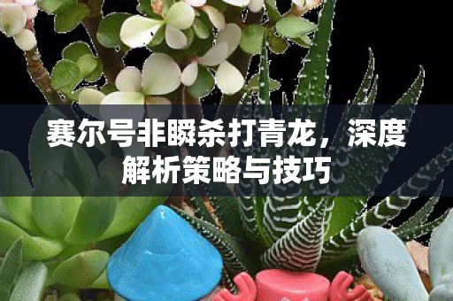 赛尔号非瞬杀打青龙图片