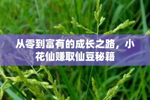 从零到富有的成长之路图片