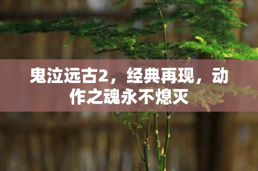 动作之魂永不熄灭图片