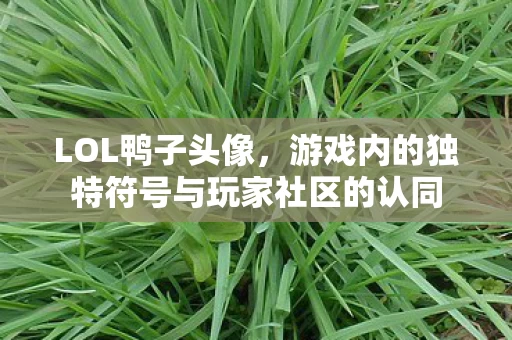 游戏内的独特符号与玩家社区的认同图片