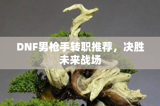 DNF男枪手转职推荐图片