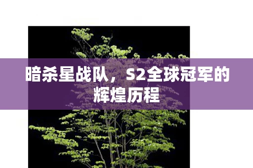 S2全球冠军的辉煌历程图片